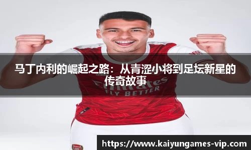 开云电子官网